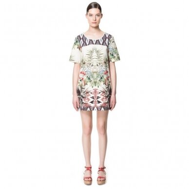 PAVYZDINE5 PAVYZDINE5